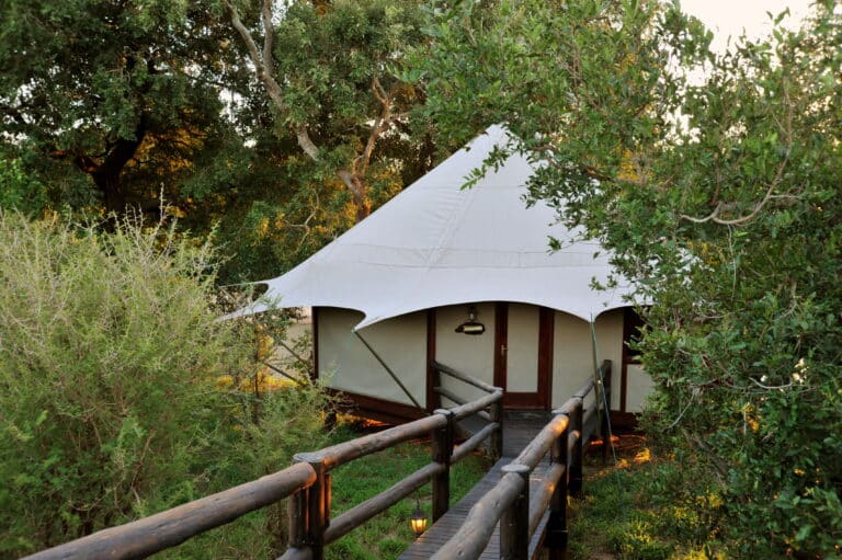 5 Day Hamiltons Luxury Tented Camp Safari